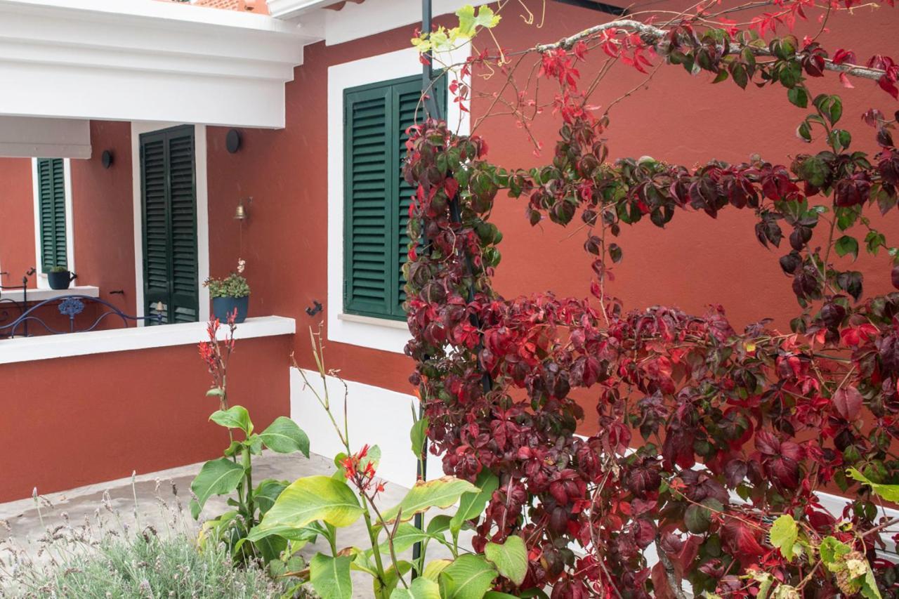 فندق Casa Flamingo فوز دو أريلهو المظهر الخارجي الصورة